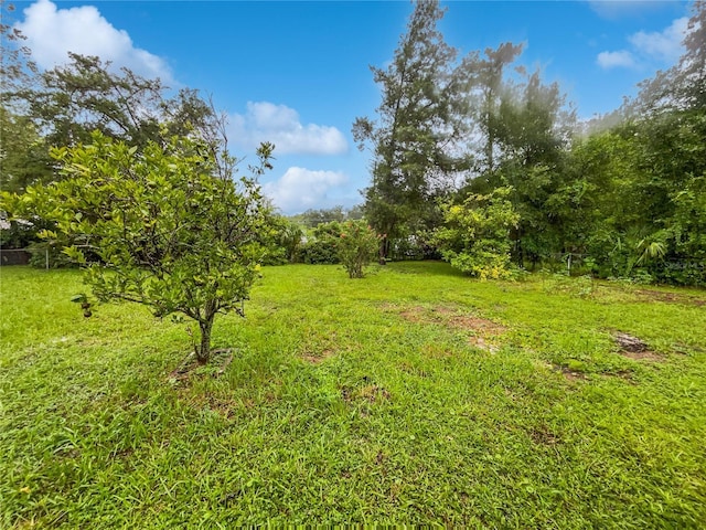 5349 NE 24th St, Ocala, FL 34470 - photo 22