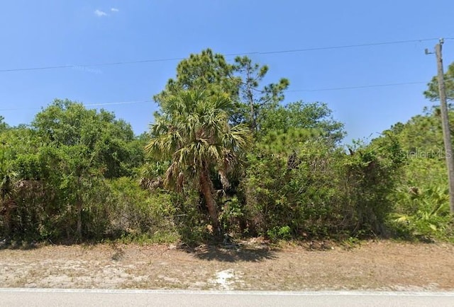 319 Ravenswood Blvd, Port Charlotte, FL 33954 - photo 1