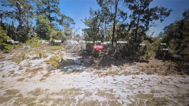 451 Blackbird Ln, Lake Placid, FL 33852 - photo 1