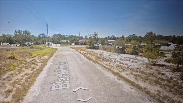 451 Blackbird Ln, Lake Placid, FL 33852 - photo 2