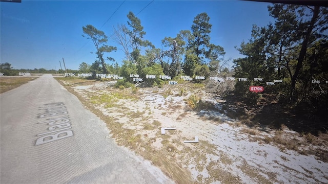 451 Blackbird Ln, Lake Placid, FL 33852 - photo 3