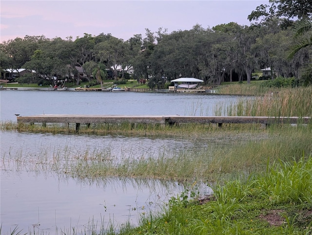 1209 Ridge Dr, Avon Park, FL 33825 - photo 8