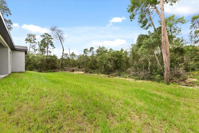 17958 SW 36th Ave, Ocala, FL 34473 - photo 11