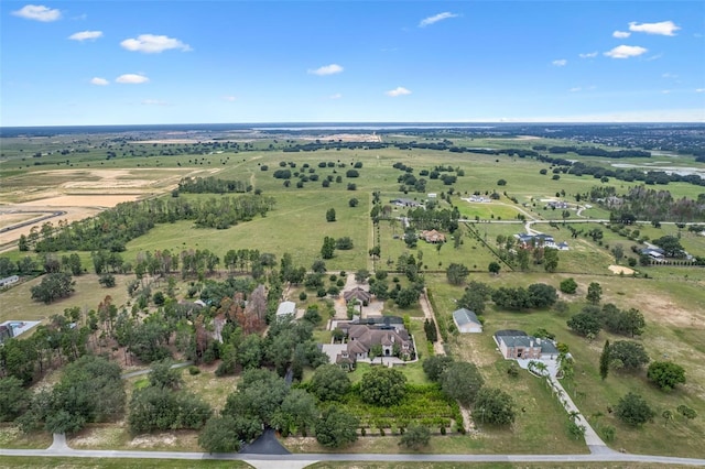 9201 Tower Pine Dr, Winter Garden, FL 34787 - photo 17