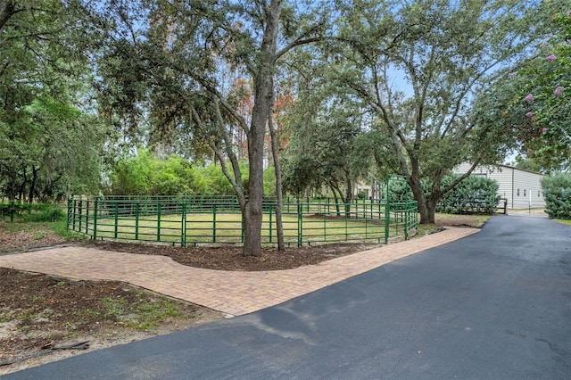 9201 Tower Pine Dr, Winter Garden, FL 34787 - photo 9