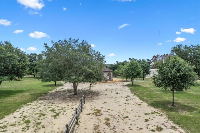 9201 Tower Pine Dr, Winter Garden, FL 34787 - photo 81