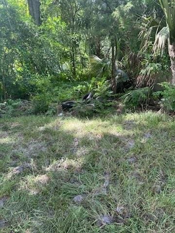 422 Ivy Ave, Deland, FL 32724 - photo 41