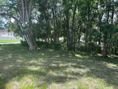 422 Ivy Ave, Deland, FL 32724 - photo 42