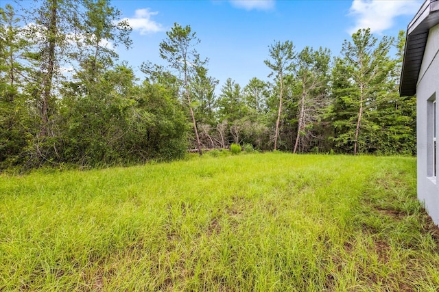 16862 SW 40th Cir, Ocala, FL 34473 - photo 11