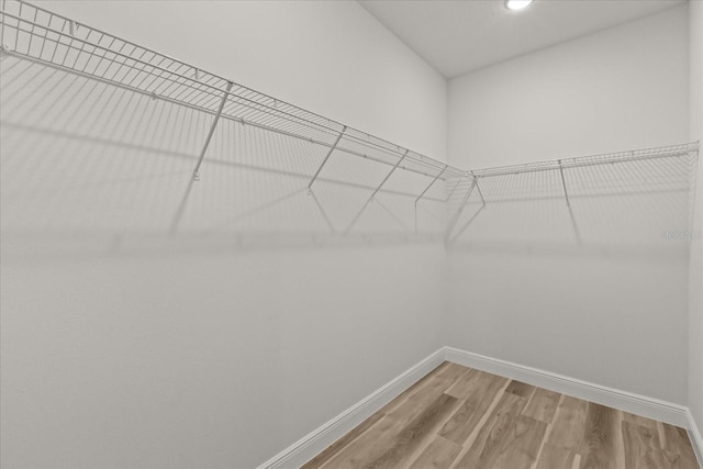 16862 SW 40th Cir, Ocala, FL 34473 - photo 39