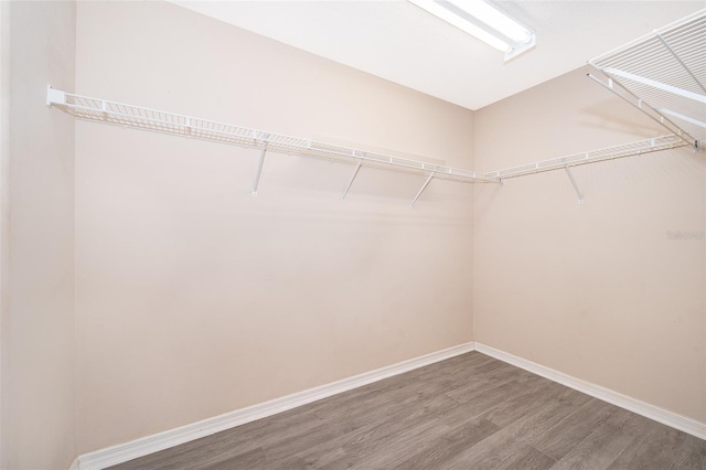 1944 Florence Vista Blvd, Orlando, FL 32818 - photo 24