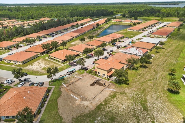 1585 Cumin Dr, Kissimmee, FL 34759 - photo 29