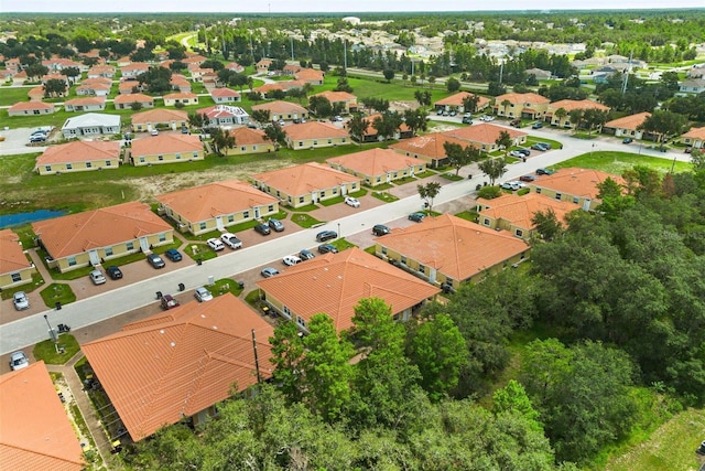 1585 Cumin Dr, Kissimmee, FL 34759 - photo 31
