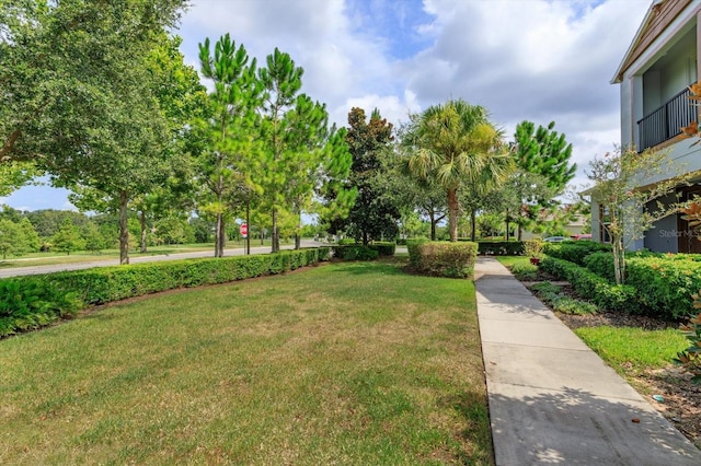 1565 Bayfront Park Aly, Winter Garden, FL 34787 - photo 3