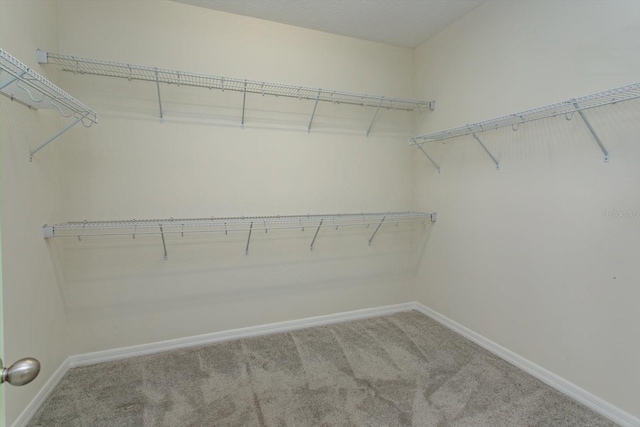 1565 Bayfront Park Aly, Winter Garden, FL 34787 - photo 22