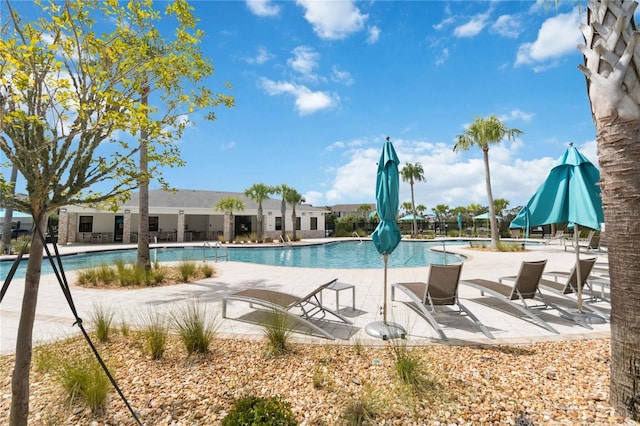 14089 Title Way, Winter Garden, FL 34787 - photo 12