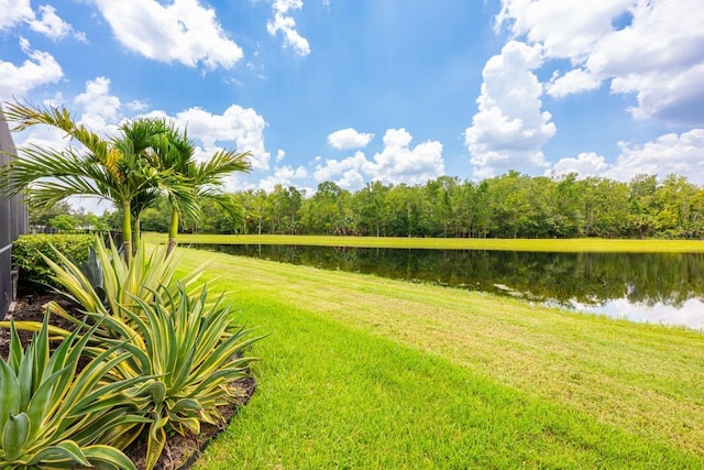 10960 Inside Loop, Orlando, FL 32825 - photo 25
