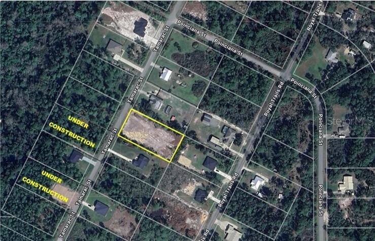 Tamarac St, Eustis, FL 32736 - photo 2