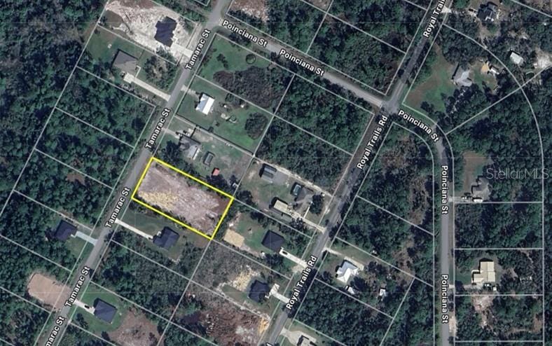 Tamarac St, Eustis, FL 32736 - photo 3