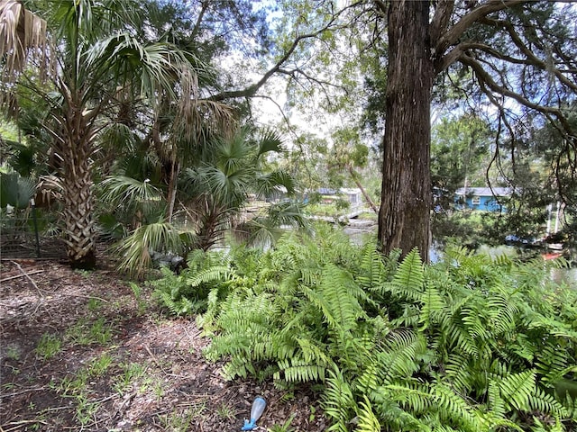 3628 N Hiawatha Ter, Crystal River, FL 34428 - photo 18