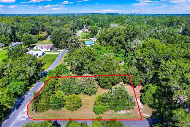 847 NE 31st St, Ocala, FL 34479 - photo 1