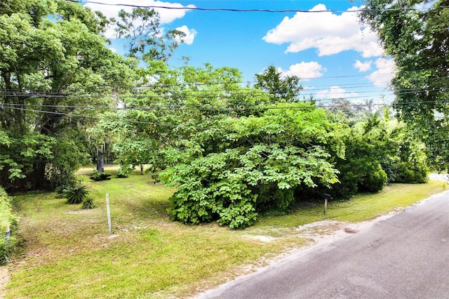847 NE 31st St, Ocala, FL 34479 - photo 2