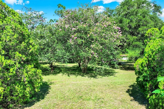 847 NE 31st St, Ocala, FL 34479 - photo 5