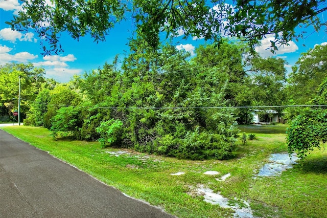 847 NE 31st St, Ocala, FL 34479 - photo 6