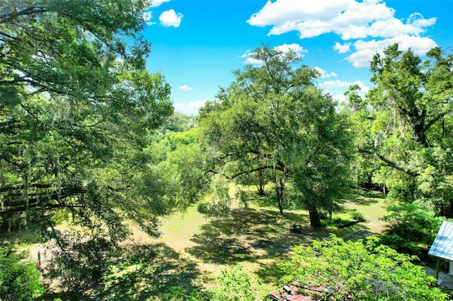 847 NE 31st St, Ocala, FL 34479 - photo 8