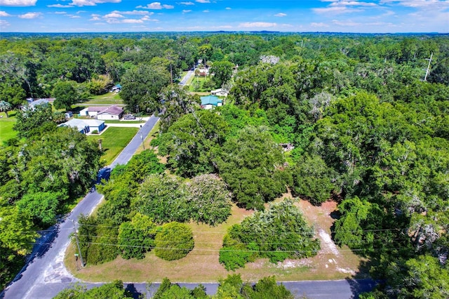 847 NE 31st St, Ocala, FL 34479 - photo 10