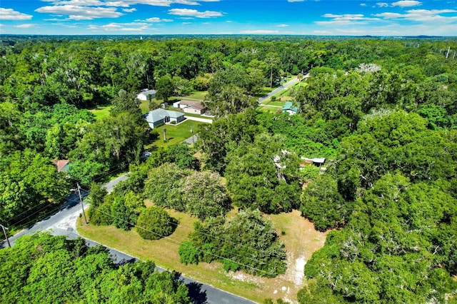 847 NE 31st St, Ocala, FL 34479 - photo 11