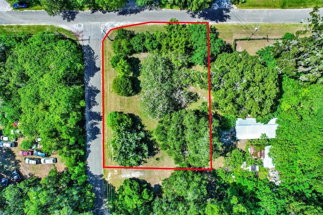 847 NE 31st St, Ocala, FL 34479 - photo 15