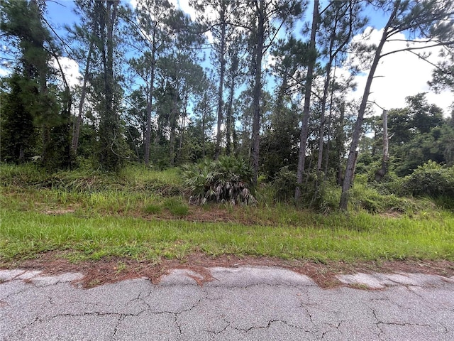 4420 Gerona Ave, Sebring, FL 33872 - photo 2