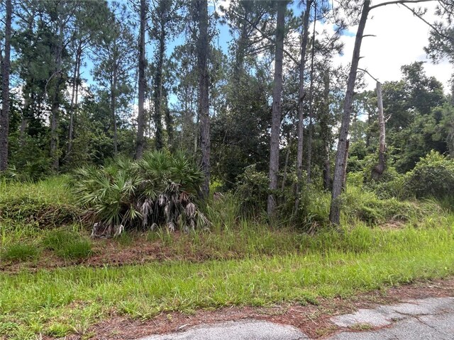 4420 Gerona Ave, Sebring, FL 33872 - photo 3