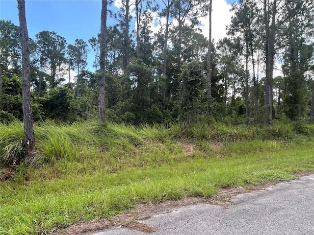 4420 Gerona Ave, Sebring, FL 33872 - photo 4