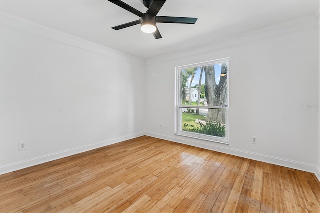 1420 Tracy Dee Way, Longwood, FL 32779 - photo 51