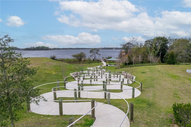 7137 Dilly Lake Ave, Groveland, FL 34736 - photo 23