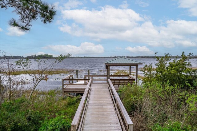 7137 Dilly Lake Ave, Groveland, FL 34736 - photo 24