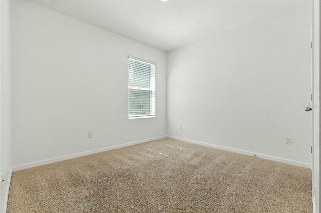 3741 Crimson Clover Dr, Mount Dora, FL 32757 - photo 27