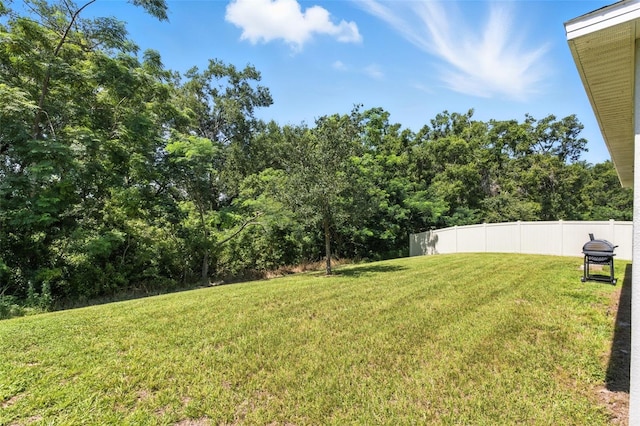 3741 Crimson Clover Dr, Mount Dora, FL 32757 - photo 33