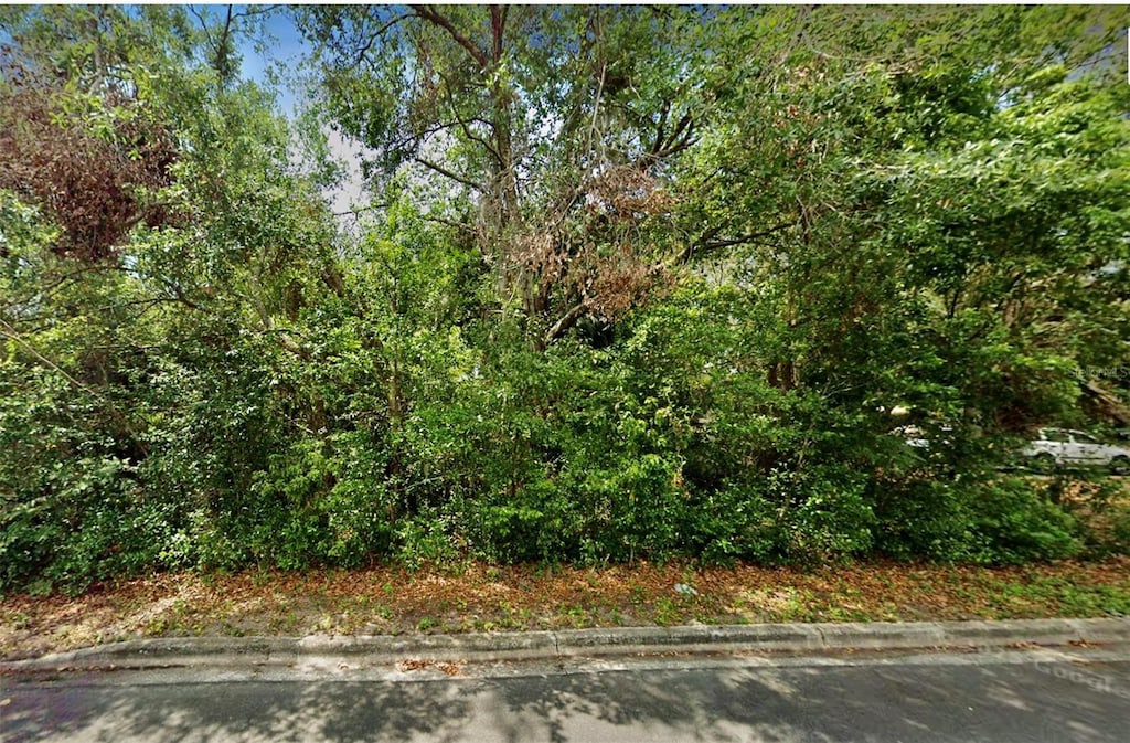 Florida Ave, Mount Dora, FL 32757 - photo 1
