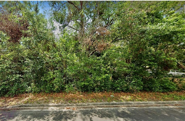 Florida Ave, Mount Dora, FL 32757 - photo 1
