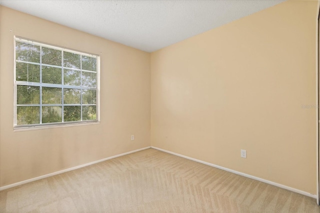 11854 Mintwood Ct, Orlando, FL 32837 - photo 12
