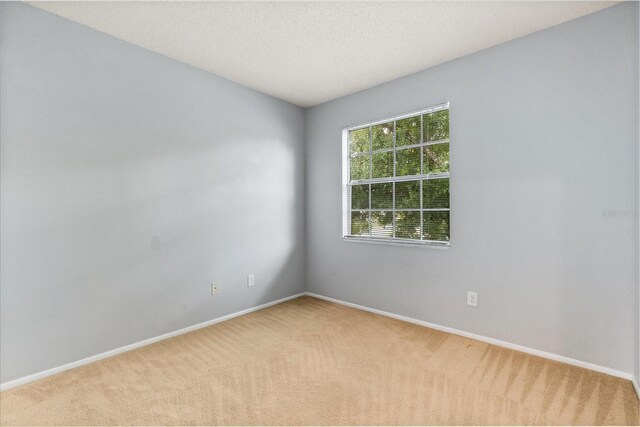11854 Mintwood Ct, Orlando, FL 32837 - photo 14