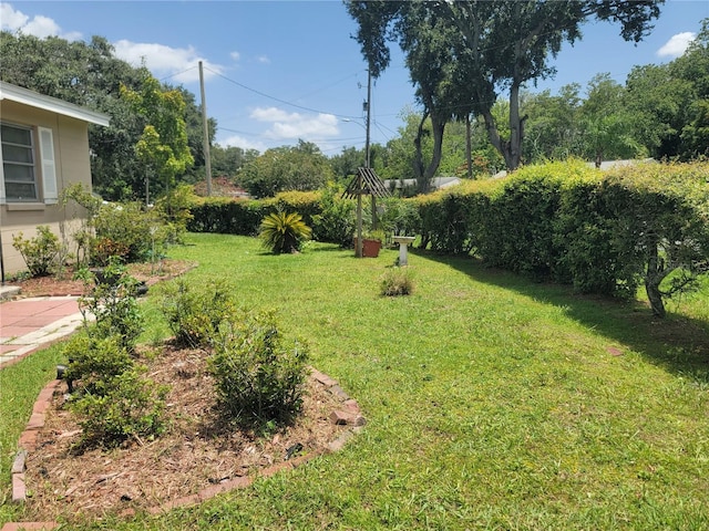 3811 Guinyard Way, Orlando, FL 32805 - photo 13
