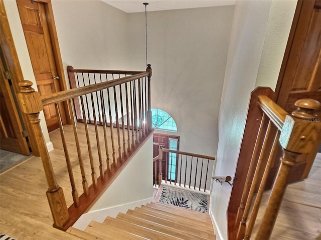 3002 Drakes Landing Ct, Valrico, FL 33596 - photo 12