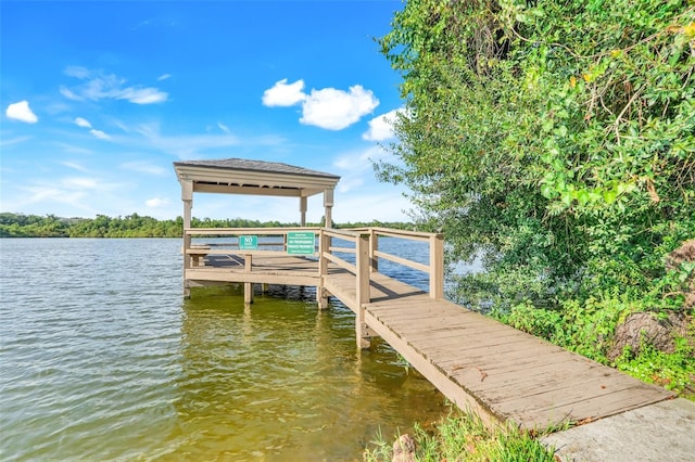 1019 Bj Brandy Cv, Winter Garden, FL 34787 - photo 25