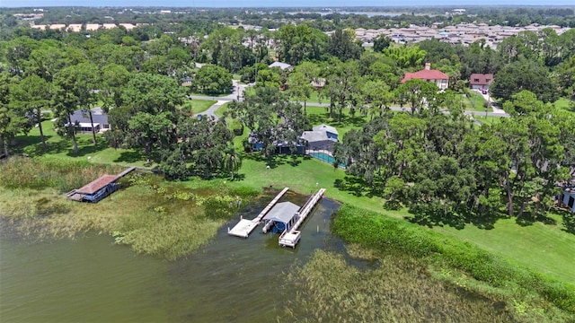33205 Lakeshore Dr, Tavares, FL 32778 - photo 41
