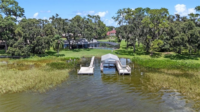 33205 Lakeshore Dr, Tavares, FL 32778 - photo 39