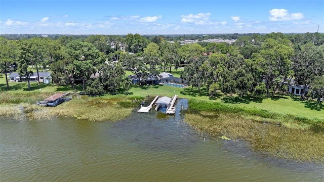 33205 Lakeshore Dr, Tavares, FL 32778 - photo 40